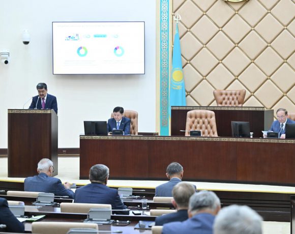На пути к зелёной экономике: в Сенате прошёл правительственный час по вопросам экологии