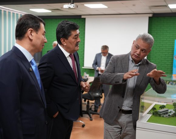 The Akimat of Almaty Plans to Implement Best Available Techniques (BAT) to Improve Air Quality and Residents’ Living Conditions